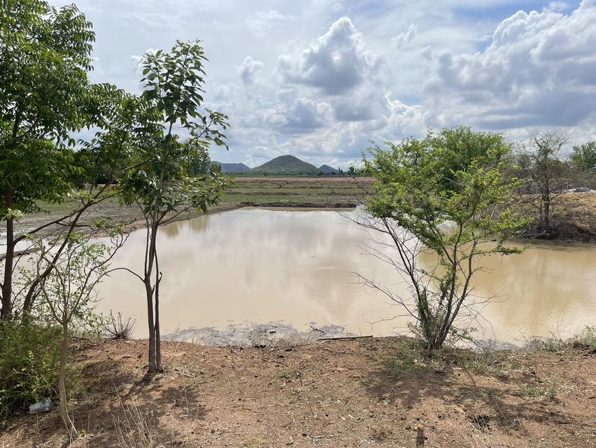 ขายที่ดินติดถนน