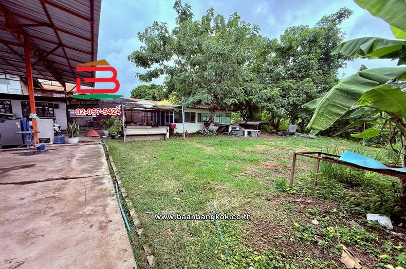 ที่ดินพร้อมกิจการ เนื้อที่ 186 ตร.ว. อยู่ติดกับปั้ม PT เชียงยืน ถนนขอนแก่น-ยางตลาด ตำบลเชียงยืน อำเภอเชียงยืน มหาสารคาม 10