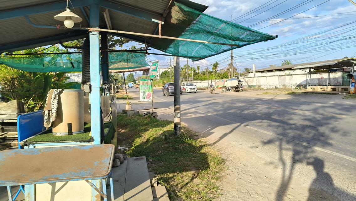 ที่ดินและบ้าน 1 ไร่ 1งาน 44.5 ตรว. ใจกลางเมืองฉกลง ระยอง ทำเลสวยงามราคาจับต้องได้ 6