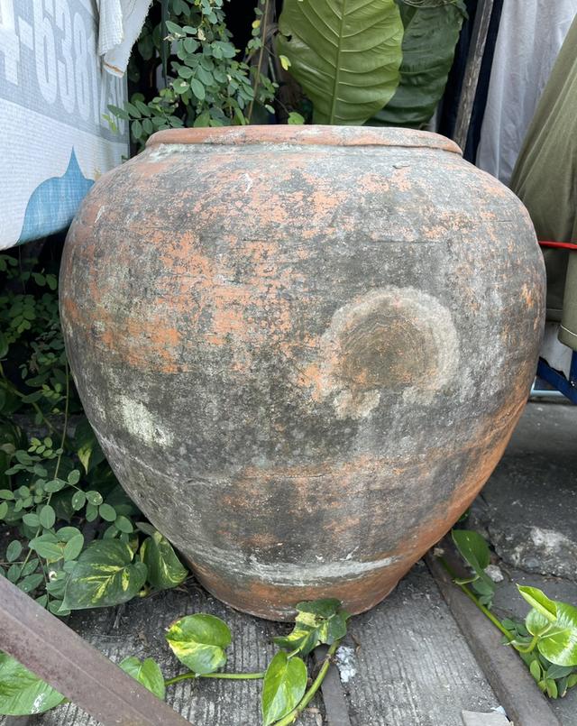 โอ่งแดง ศิลปะอยุธยา โอ่งดินแดง แบบไม่เคลือบผิว ไซต์จัมโบ้ เบอร์0 ใบใหญ่ รูปที่ 3