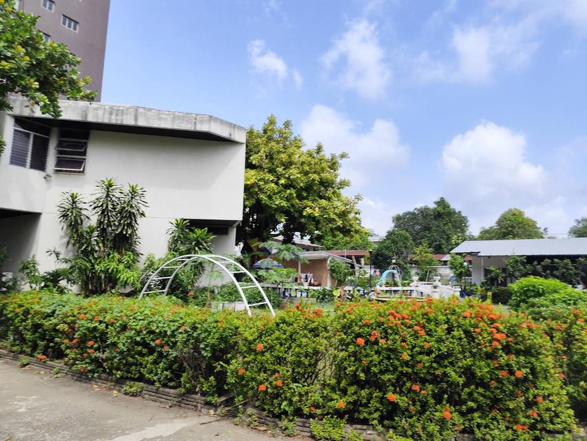 ขายที่ดินแปลงศักยภาพสูง สุขุมวิท 101  BTS ปุณณวิถี Land and old  house  for sale in a prime 11
