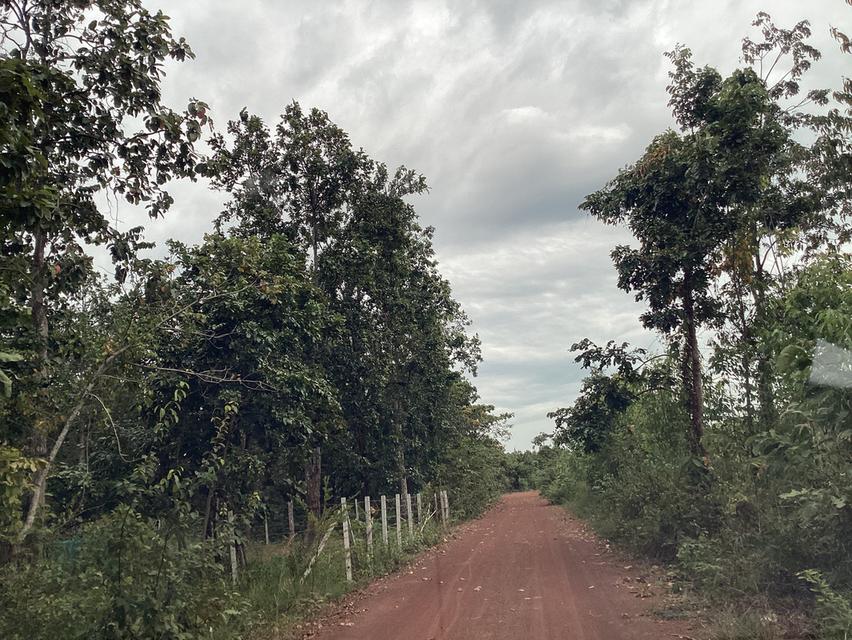 ขายที่ดินสำหรับโซล่าเซลล์ ในจ. สกลนคร 7