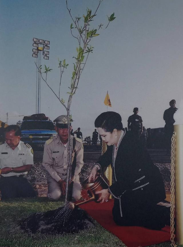 536.พระบรมฉายาลักษณ์สมเด็จพระบรมราชีนีนาถในรัชกาลที่ 9 รูปย่อยที่ 2