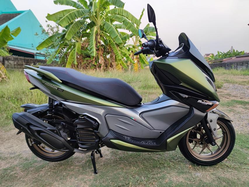 ลดราคา Malaguti Madison ครับ รูปที่ 5