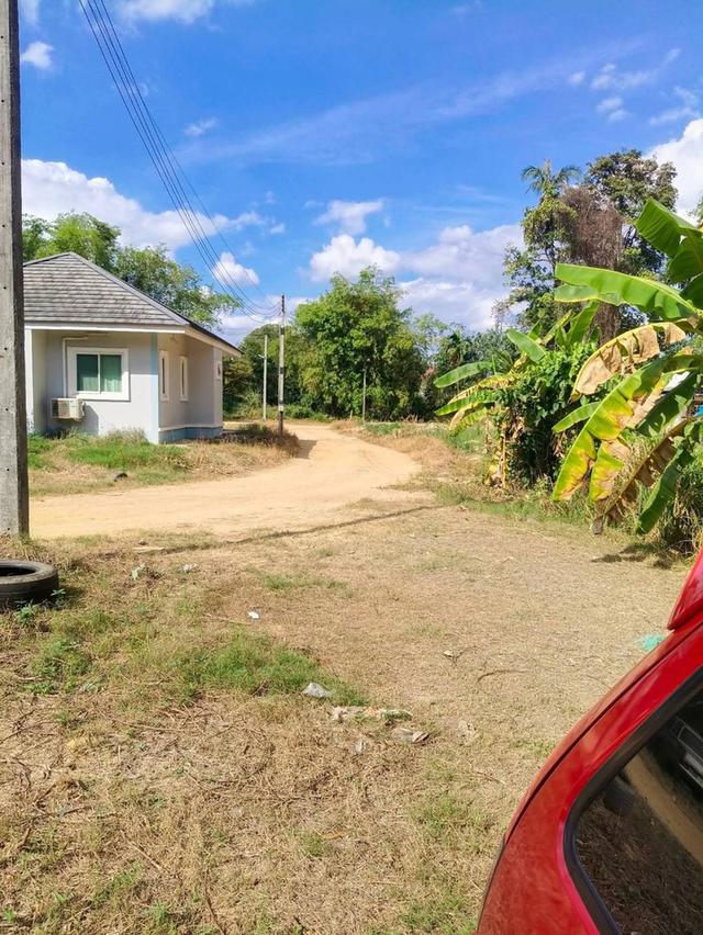 ขายที่ดินเปล่า ห้วยยายจีน  ห้วยใหญ่ ชลบุรี (เจ้าของขายเอง) 3