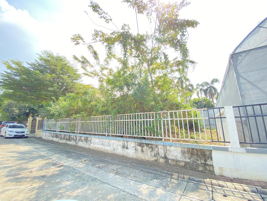 ขายที่ดิน 53 ตร.วา หมู่บ้านชัยพฤกษ์ ซอยวัดลาดปลาดุก บางใหญ่ จ.นนทบุรี 1