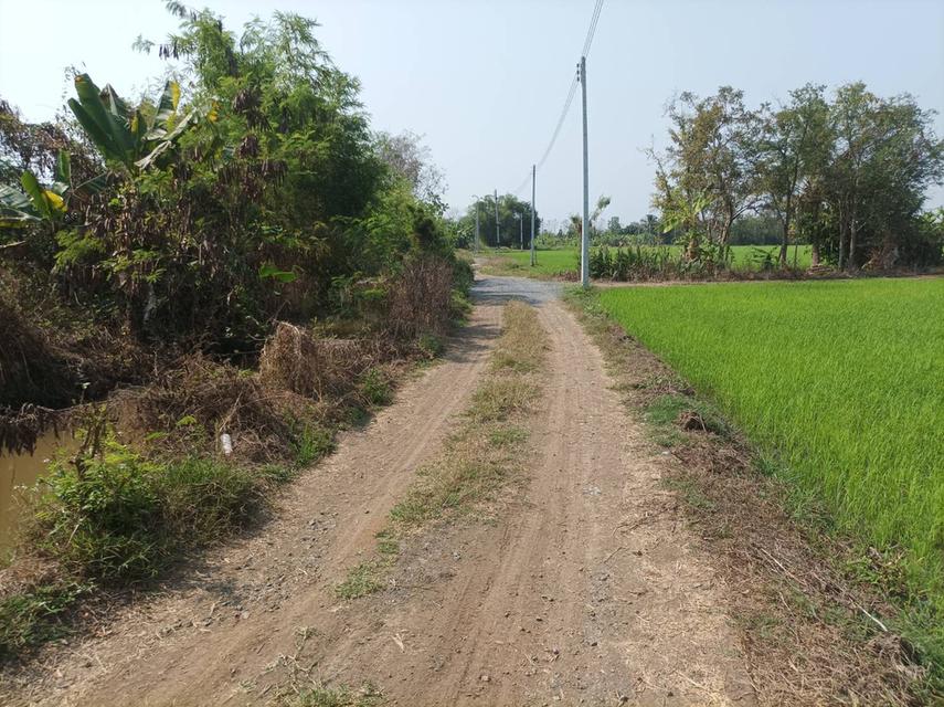 ขายที่ดิน 16ไร่1งาน ต.สง่าบ้าน อ.ดอยสะเก็ด จ.เชียงใหม่ 15