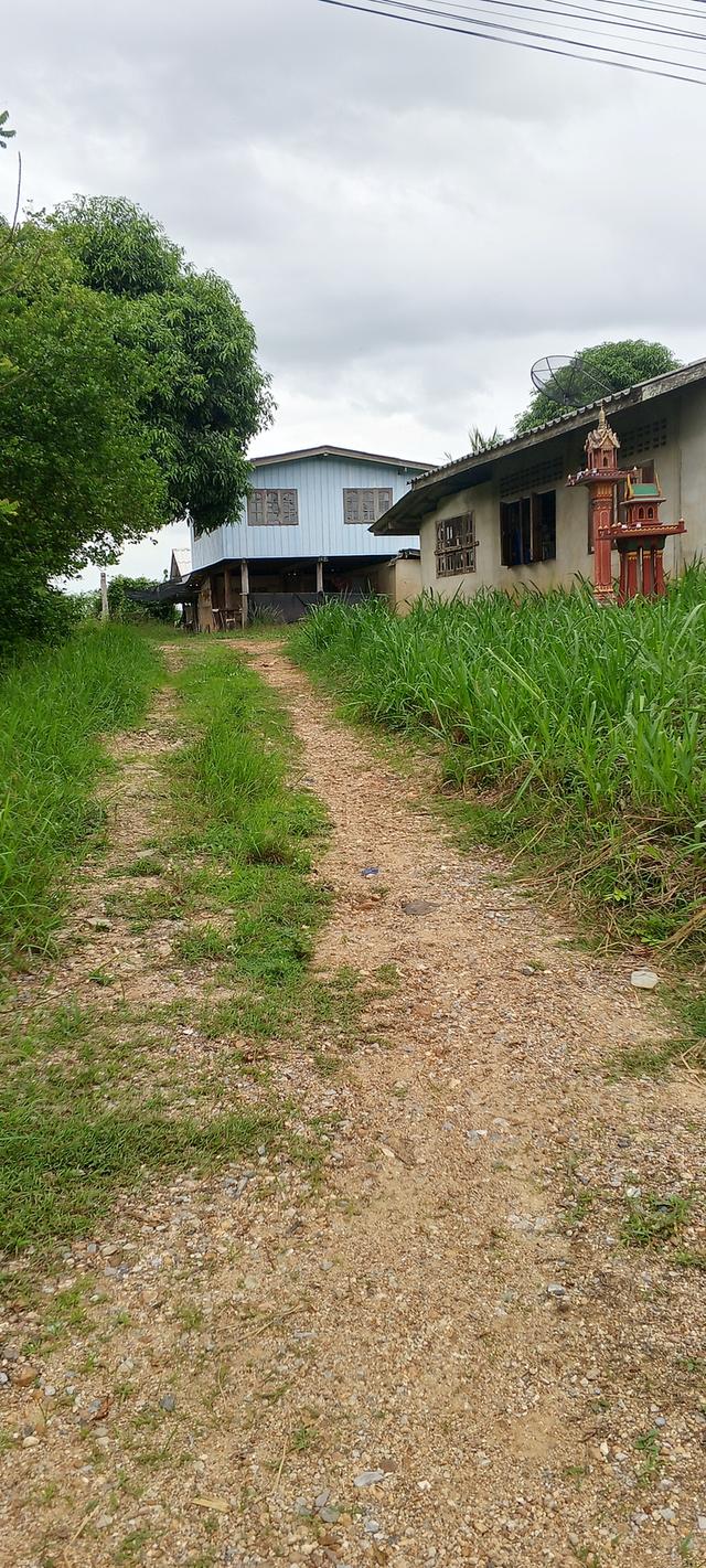 บ้านและที่ดินอสังหาริมทรัพย์ติดทางเข้าสะดวกสบายมีน้ำมีไฟ 2