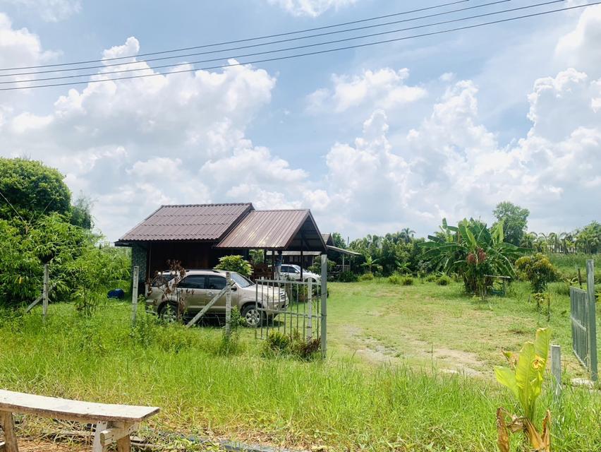 ขาย บ้านเดี่ยว ซอยแสนเกษม 45 ตรว 197 ตรม ใกล้ตลาดหนองจอก 2