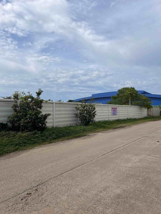 ขายที่ดินคลองนิยมยาตราสีม่วง 2 ไร่ ติดถนนเส้นทล.3091 หลังนิคมเวลโกรว์ อ.บางบ่อ จ.สมุทรปราการ 2