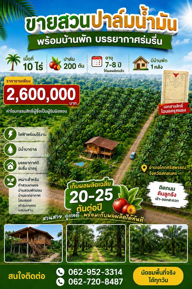 ขายที่ดินพร้อมสวนปาล์ม 1