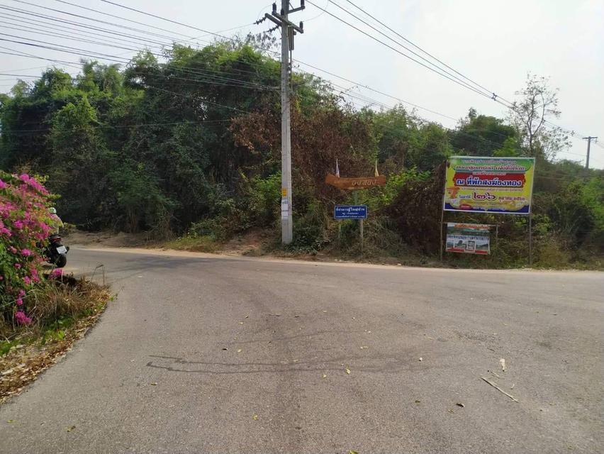 ขายที่ดินแถวสวนผึ้ง ราชบุรี ขายด่วนถูกมากๆๆ2ไร่ ต่อรองได้ ก้อย 0982832356 3