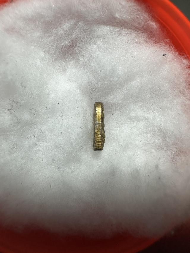 พระนาคปรกใบมะขาม หลวงปู่ทิม อิสริโก วัดละหารไร่ รูปที่ 4