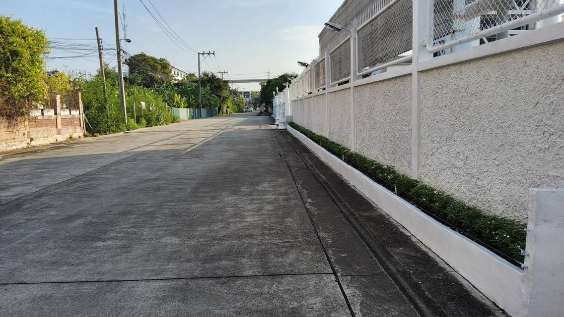 แบ่งขายที่ดิน 300 ตรว. ราคาต่อรองได้ ซอยกว้าง เป็นซอยส่วนบุคคล 3