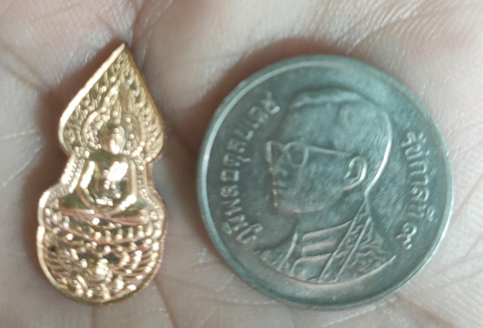 พระปรกใบมะขาม หลังพระแม่ธรณี หลวงปู่กาหลง รุ่นแรก 2547 รูปที่ 3