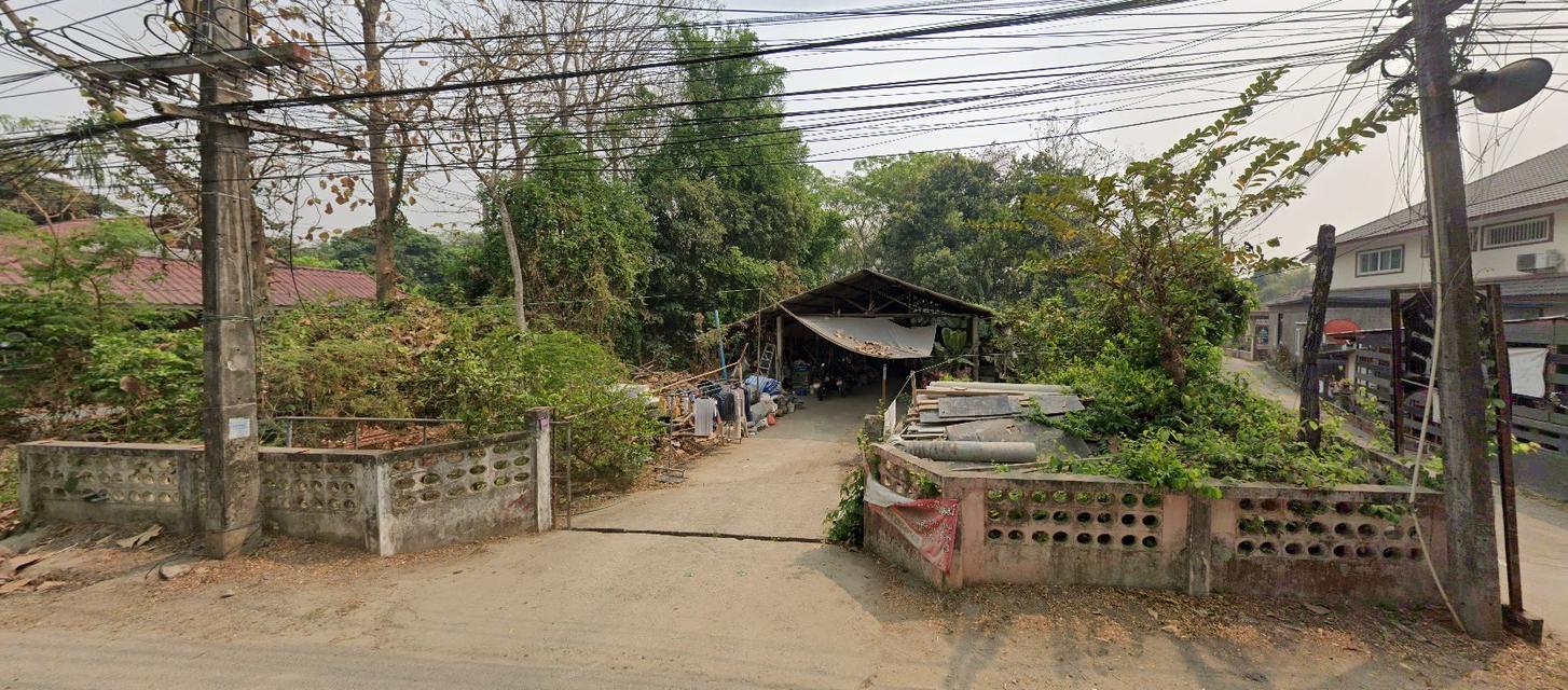 ขายที่ดิน 196 ตารางวา สันทราย เชียงใหม่ 3