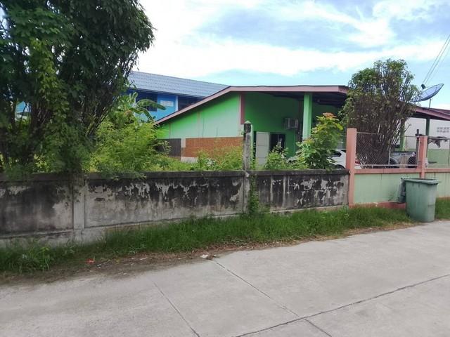 ขายหอพักพานทองชลบุรี ขายหอพัก 3 ห้อง ถนนสุขประยูร หนองตำลึง พานทอง ชลบุรี เนื้อที่ 86 ตรว. ห้องพัก3ห้องห้องละ3000 3