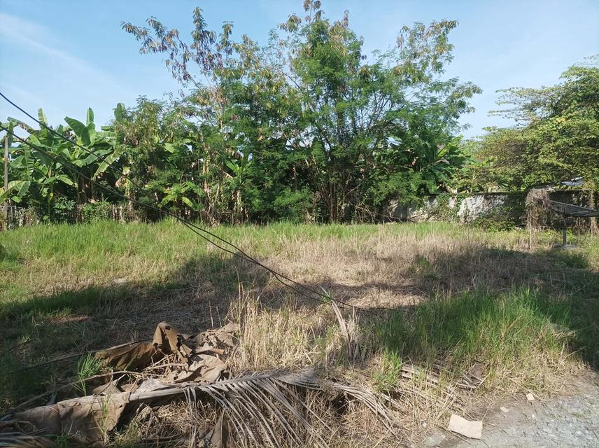 ขายที่ดิน 110ตร.ว. ต.ป่าป้อง อ.ดอนสะเก็ด จ.เชียงใหม่ 2