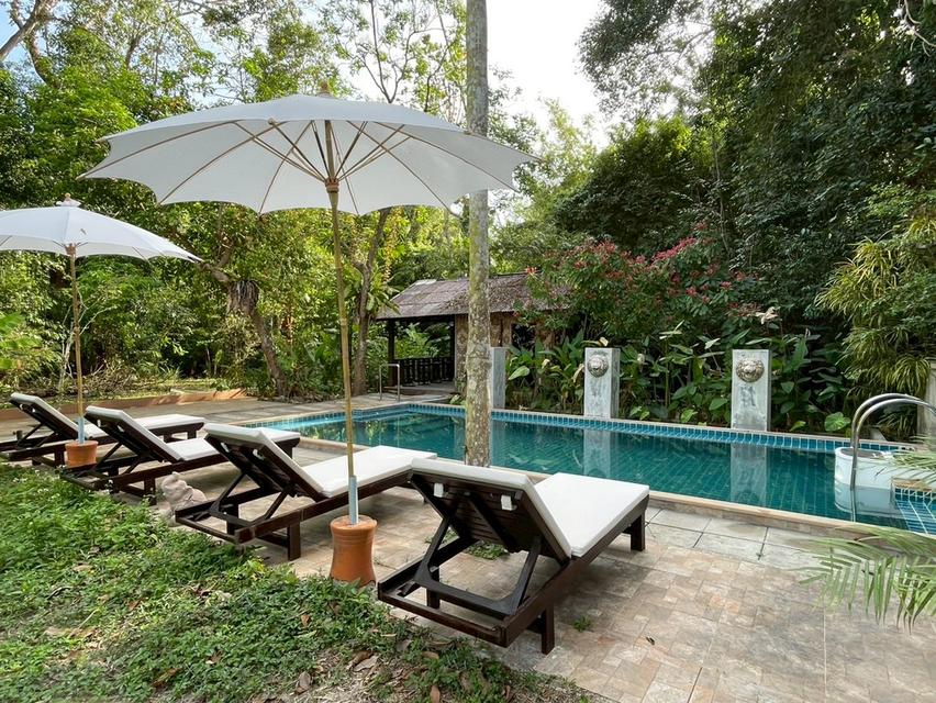 รีสอร์ทจังหวัดกระบี่ ใกล้อ่าวนางพร้อมเปิดกิจการ 1