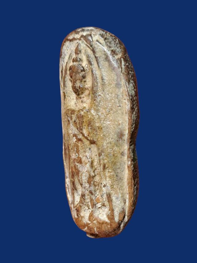 เปิดจ้า💞สนใจทักแชทได้เลยนะคะ 💚ส่งฟรีค่ะ 🥰 รูปที่ 2