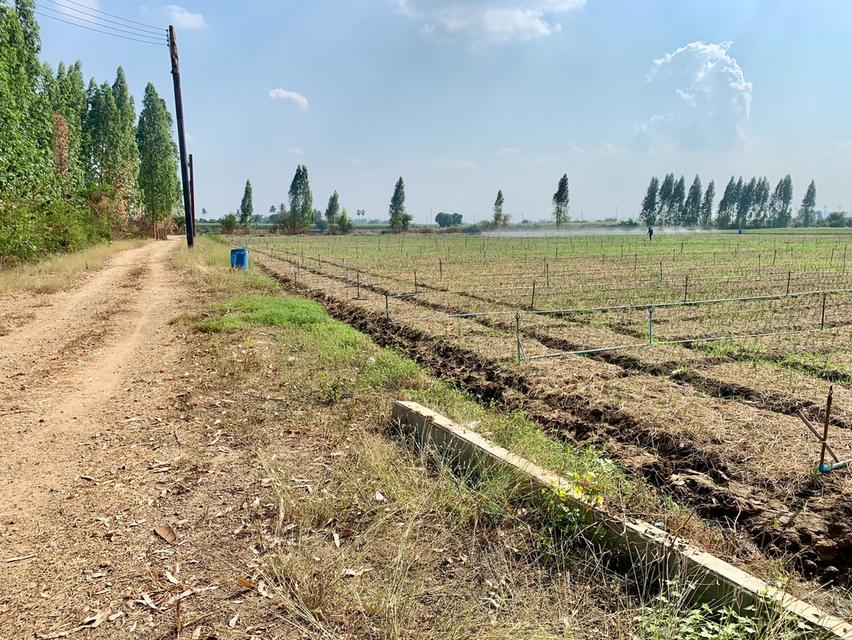 ขายที่ดินสวย2แปลง รวม26ไร่เศษ ใกล้มอเตอร์เวย์ สภาพแวดล้อมดี เหมาะทำเกษตร,ลงทุน,จัดสรรหรืออื่นๆ คมนาคมสะดวก 14