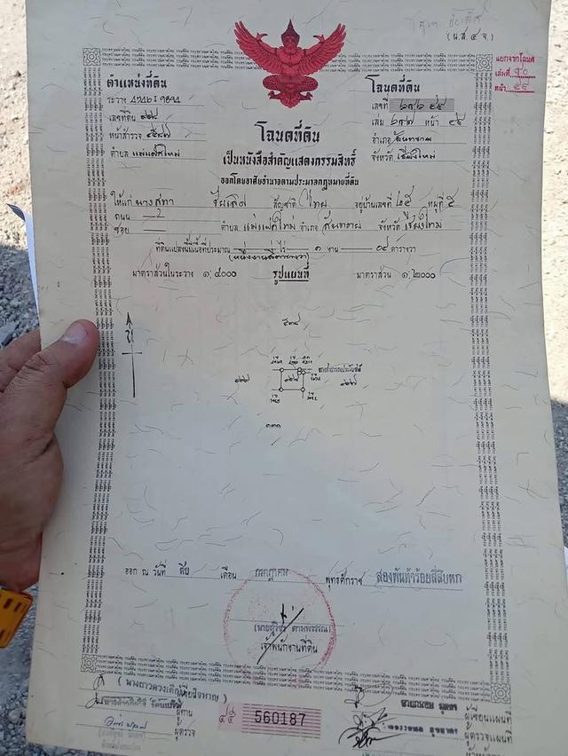 ที่ดินถมแล้วติดถนนสาธารณะ 8