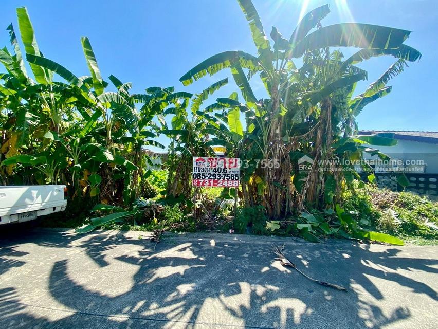 ขายที่ดิน ถนนสุขาภิบาล5 ซอย34 สายไหม แปลงสวย พื้นที่ 40.6 ตารางวา เข้าซอยเพียง 300 เมตร ใกล้จุดขึ้น-ลงทางด่วนสุขาภิบาล5 3