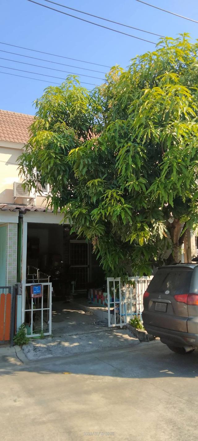 ขายด่วนขายขาดทุน ขายบ้านทาวเฮ้า 3ห้อง 2น้ำ แถมมอเตอร์ไซต์ 15