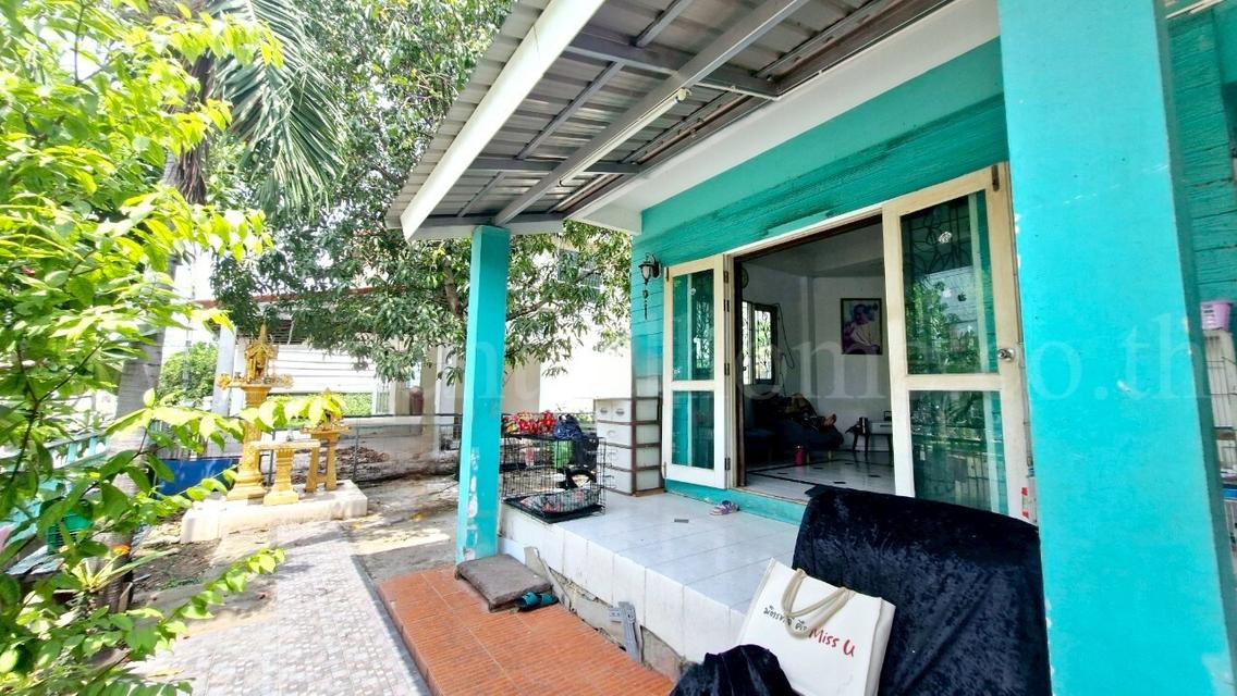 บ้านเดี่ยว อิงลดา ลำลูกกา คลอง 4 หน้าบ้านติดสวน 3