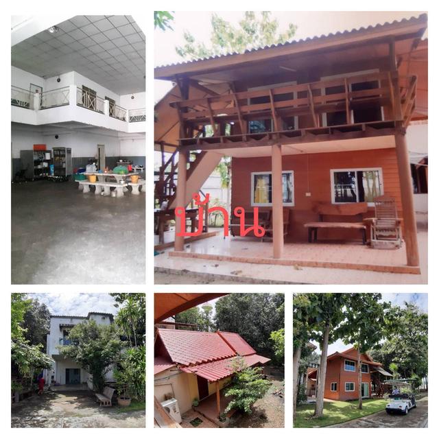 ขายโรงงานพร้อมภัตตาคาร อยู่ติดถนนสายเอเชีย อำเภอโกรกพระ นครสวรรค์ 15