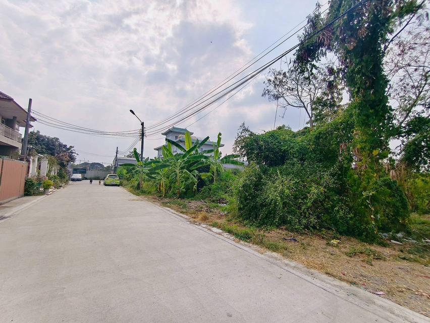 ขายด่วนที่ดินใกล้โรบินสัน ศรีสมาน 200 ตรว ติดถนน3ด้าน ซ.ศรีสมาน 5 บ้านใหม่ ปากเกร็ด 4