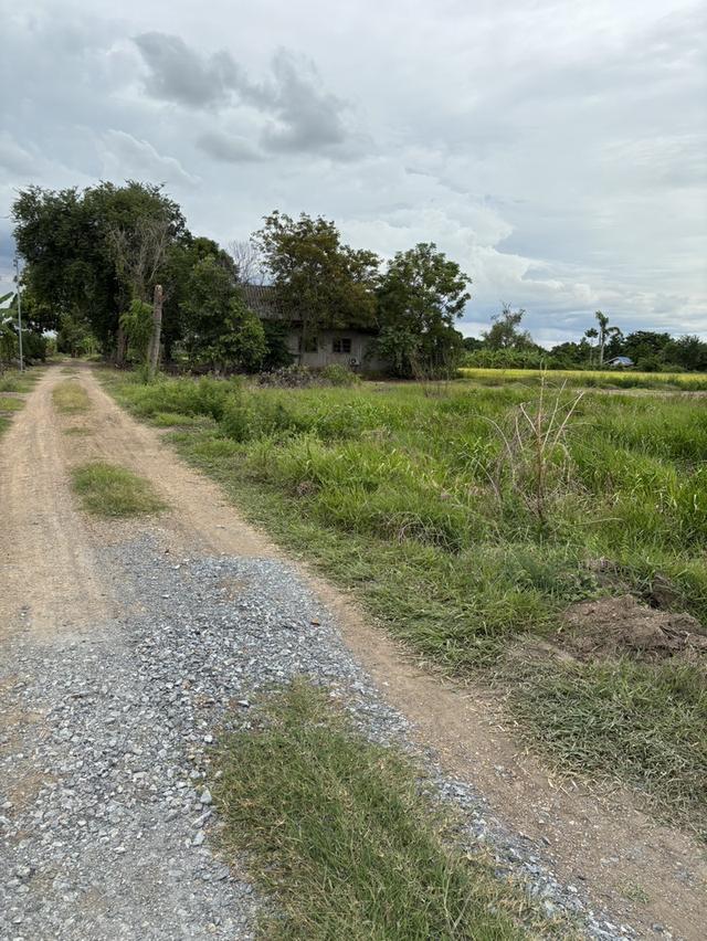 ขายที่ดินถมแล้ว เจ้าของขายเอง ทำเลดีติดถนนซอย 2 ฝั่ง พระนครศรีอยุธยา 2