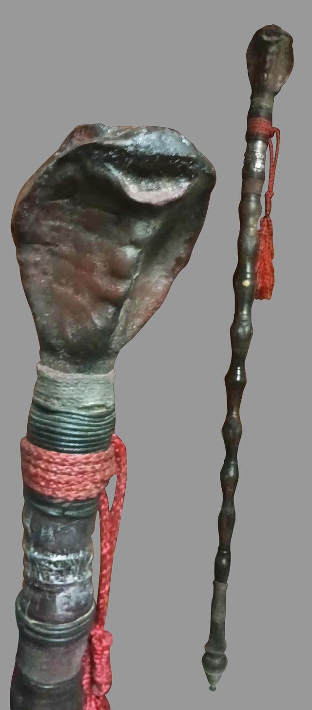 ไม้เท้างู ไม้เท้างูจงอาง ไม้เท้าแกะสลัก เศียรพญานาค ไม้เท้าไม้ไผ่