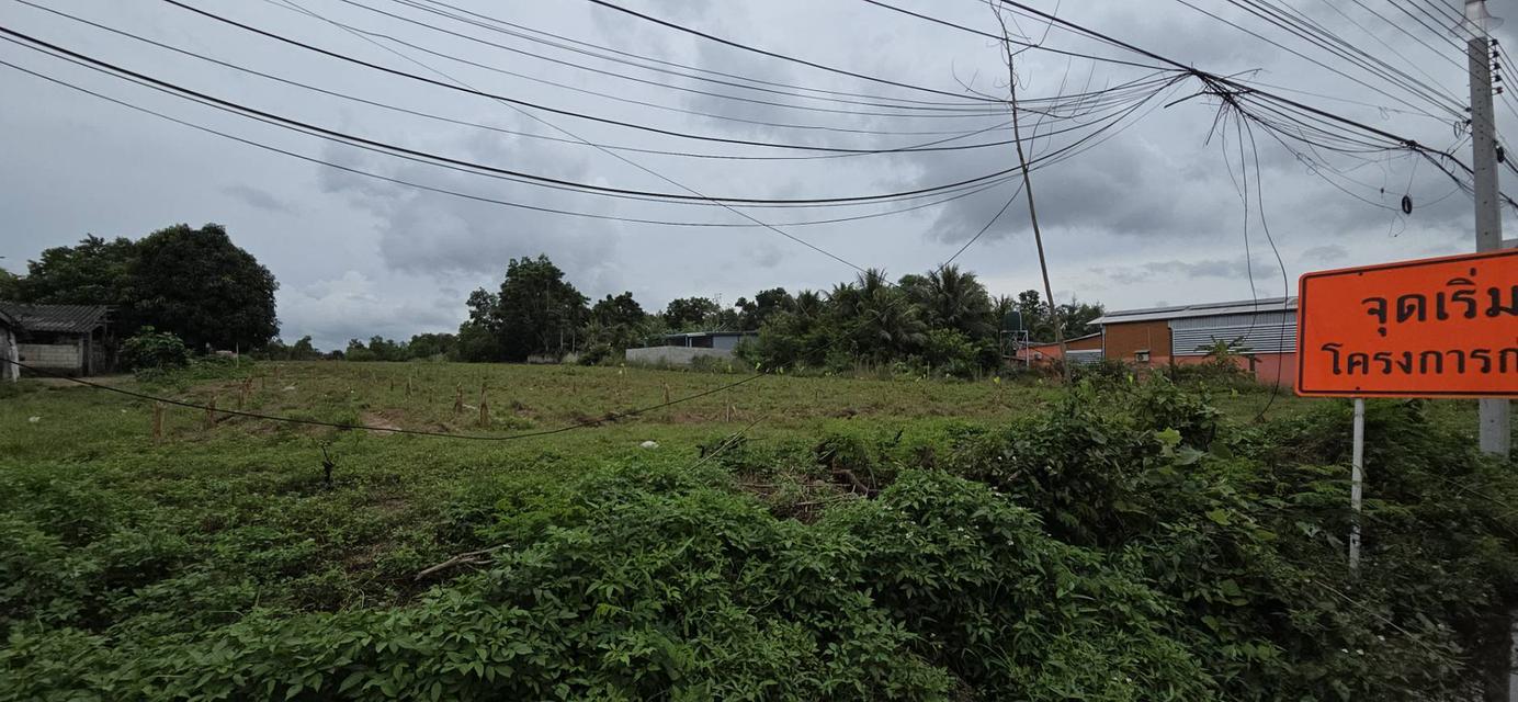 ที่ดิน ทำเลสวย กระบี่ 3