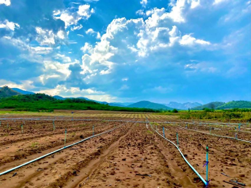 ขายที่ดินแถวจังหวัดกาญจบุรี ไร่ล่ะ 230000 12