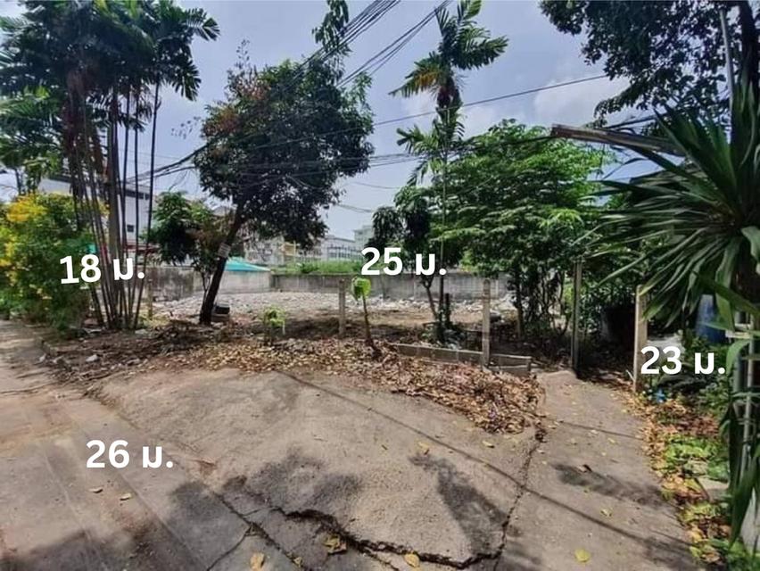 ขายที่ดินทำเลดี ขายที่ดินพระราม 3 ซอยสาธุประดิษฐ์ 49 กรุงเทพมหานคร ขนาด 128 ตรว.