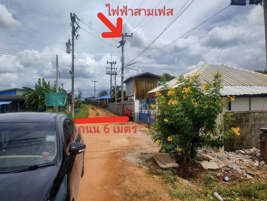 ขายที่ดินผังม่วงลายราคาถูก ????พื้นที่ม่วงลาย ✅เนื้อที่ 126 ไร่ 2