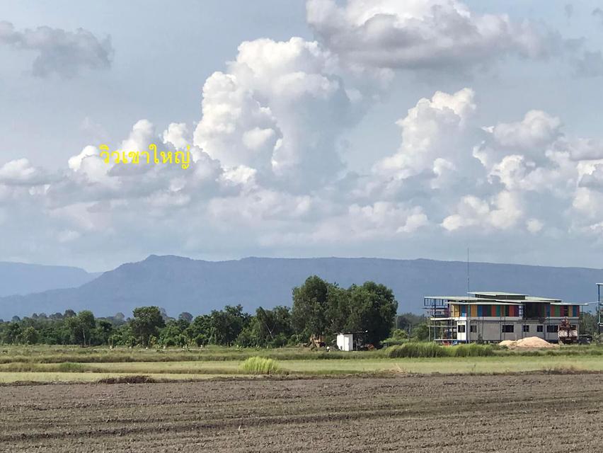 ที่ดิน ราคาถูก รีบขายด่วนมาก เป็นหนี้ 1