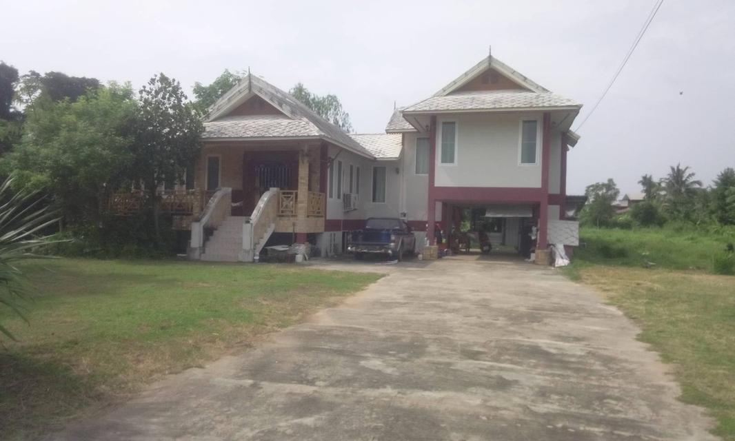บ้านพร้อมที่ดิน 1 ไร่ 79 ตรว.  1