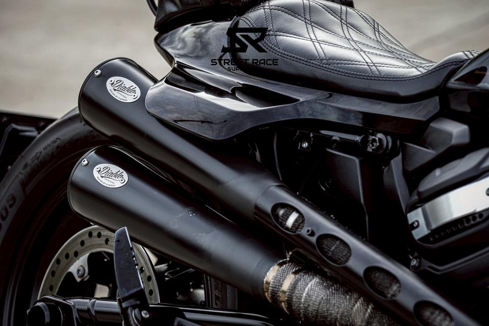2022 Harley-Davidson sportster s ปี 2022 ตัวแรงสายครูซเซอร์ 10
