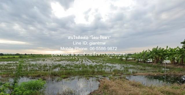 DSL-1016 ขาย ที่ดิน ขายที่ดินทุ่งนา 103-0-44 ไร่ ศรีจุฬา อ.เมืองนครนายก นครนายก ราคา 31 ล้านบาท ใกล้กับ วัดศรีจุฬา 8