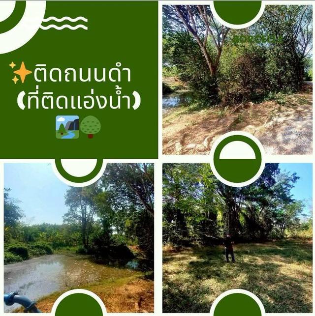 ที่ดินทำเลดีติดถนนดำ 4 ไร่ 3 งาน 83 ตรว ใกล้รพ.บ้านม่วง จ.สกลนคร 5