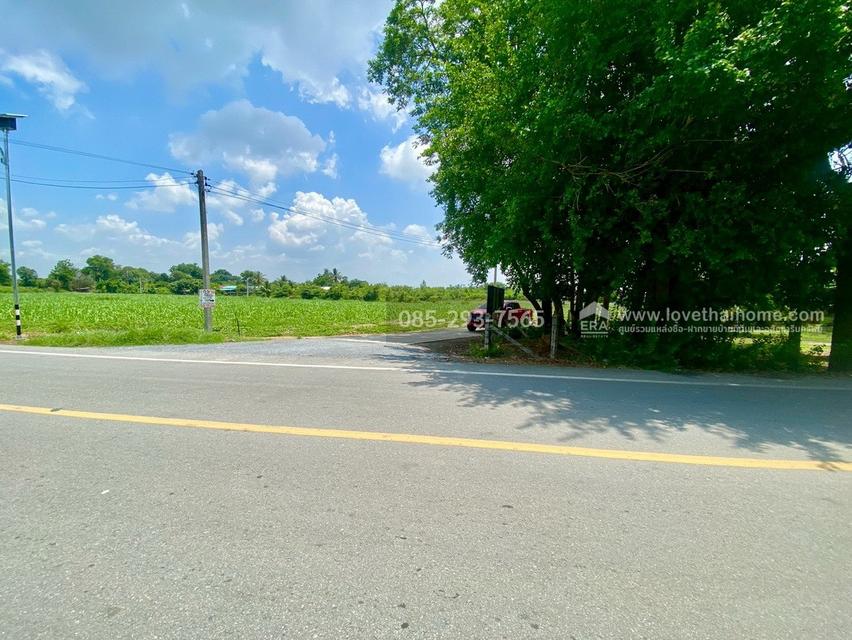 ขายที่ดินเปล่า ต.ศรีสำราญ อ.สองพี่น้อง จ.สุพรรณบุรี พื้นที่ 5 ไร่ ถมแล้ว ห่างจากถนนใหญ่เพียง 200 เมตร ใกล้อบต.ศรีสำราญ 11
