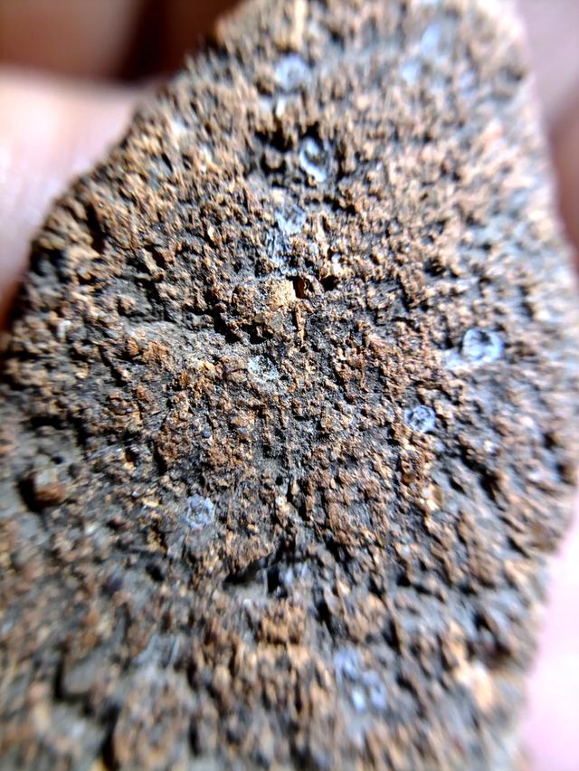 พระกรุบ้านกร่าง แท้แท้ 6