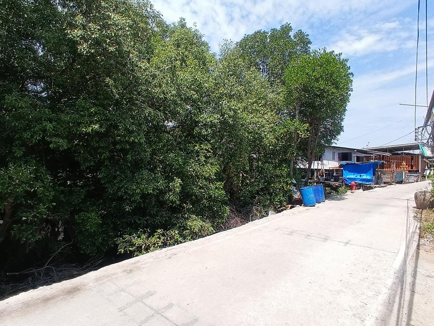 ขายที่ดิน 4 ไร่ 29 ตารางวา ซอยเทศบาลคลองด่าน 8/5 ตำบลคลองด่าน อำเภอบางบ่อ จังหวัดสมุทรปราการ 6