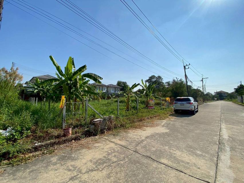 ขายต่ำกว่าประเมิน ที่ดินหมู่บ้านปาริชาต 76 ตรว ถมแล้วทั้งแปลง โซน A62/1 ถนน 345 อ.เมืองปทุมธานี จ.ปทุมธานี 2