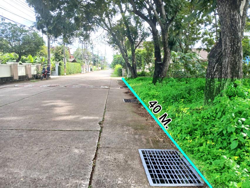 ขายที่ดินวิวสวยๆแปลงหัวมุม ถนนรอบ 4 ด้านโซนตรงกลาง ในหมู่บ้านสวนนนทรีย์แยกรวมโชค แบ่งแยกโฉนดเรียบร้อบแล้วพร้อมสร้างบ้าน 10