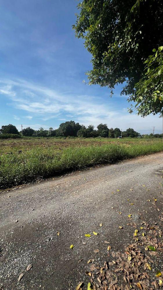 ขายที่ดินเปล่าถมแล้ว 4 ไร่ 73 ตารางวา ทำเลดีติดโรงเรียนเซนต์มารีอา – คุ้มเกล้า 14/7 มีนบุรี