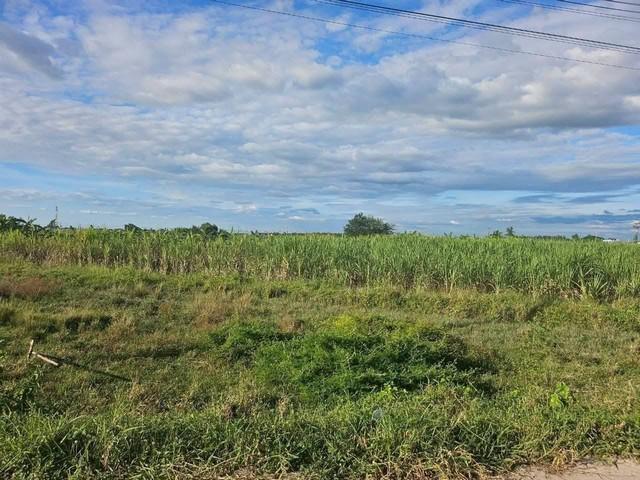 ขายที่ดินสวยพนัสถูกที่สุดในย่านนี้ ขายที่ดิน 47 ไร่ 40 ตารางวา ผังสีเหลือง ต.ทุ่งขวาง อ.พนัสนิคม จ.ชลบุรี 2