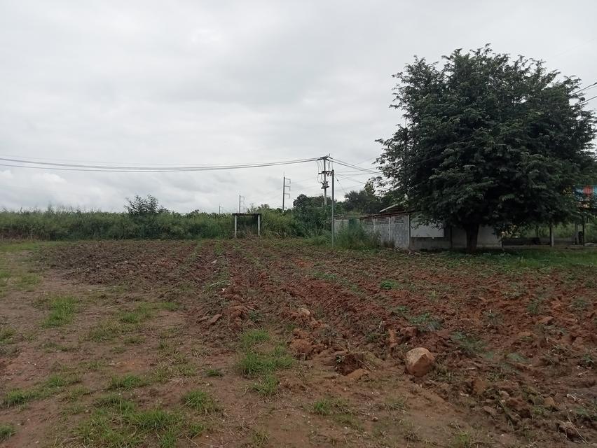 ขายที่ดิน ปักธงชัย ใกล้สหกรณ์ ลาน3 6